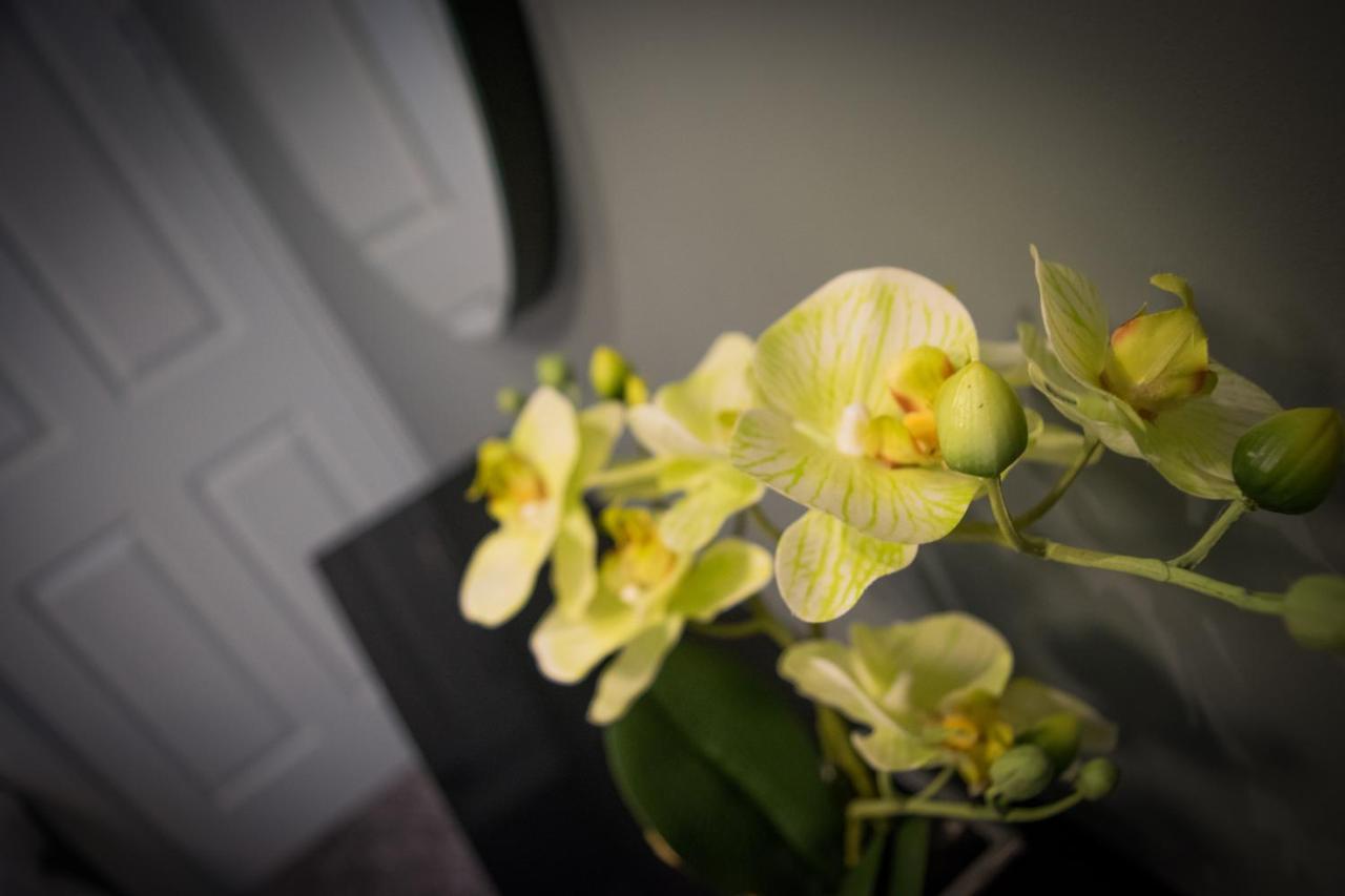 Topper'S Rooms Guest Accommodation Carrick on Shannon Eksteriør billede